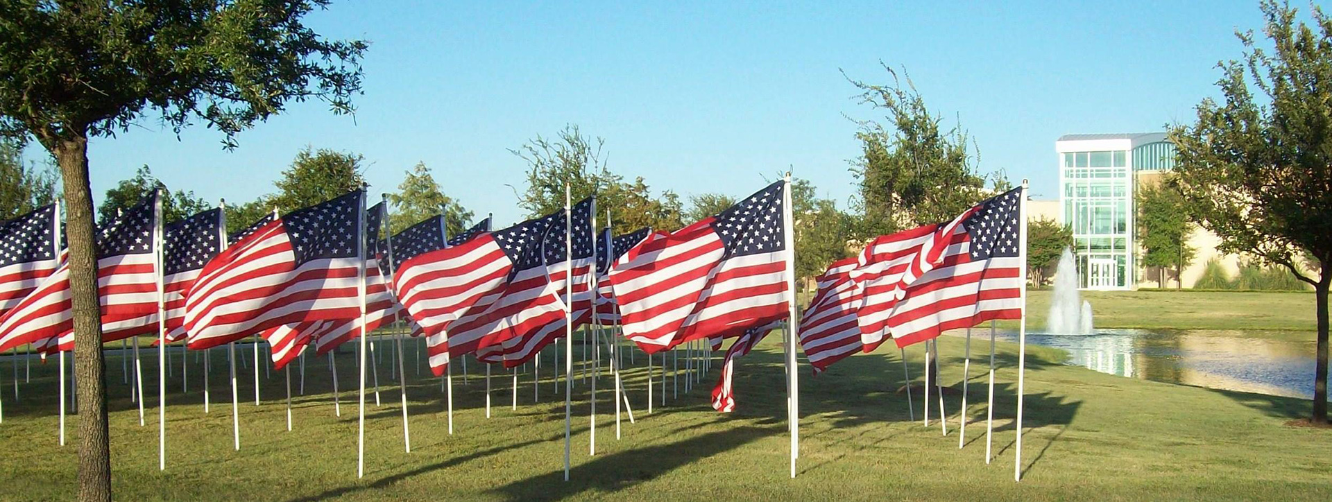 American flags waving in the breeze